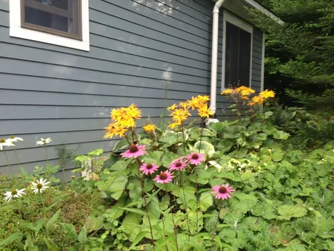 215 Pine Street Warren VT 05674