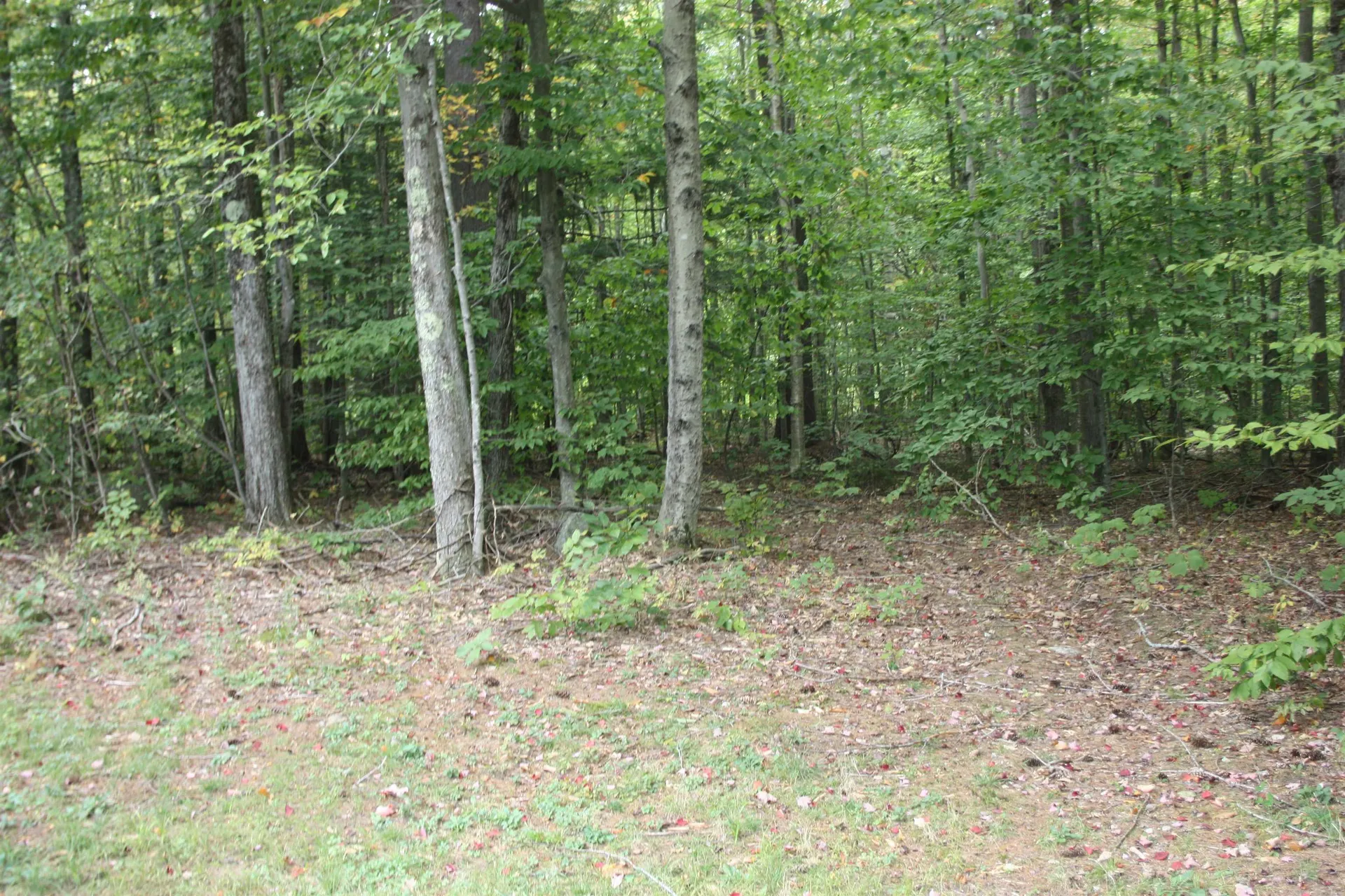 418 Juniper Hill Road Stoddard NH 03464