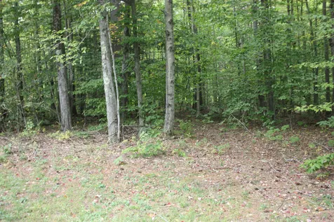 418 Juniper Hill Road Stoddard NH 03464