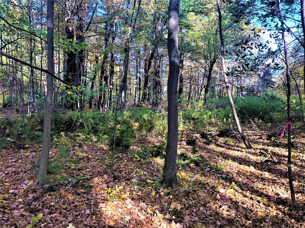 17 Chase Street Kingston NH 03848