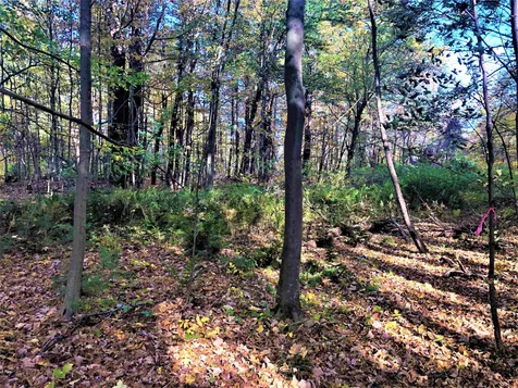 17 Chase Street Kingston NH 03848