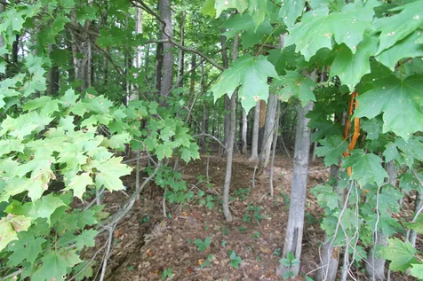 17 Chase Street Kingston NH 03848