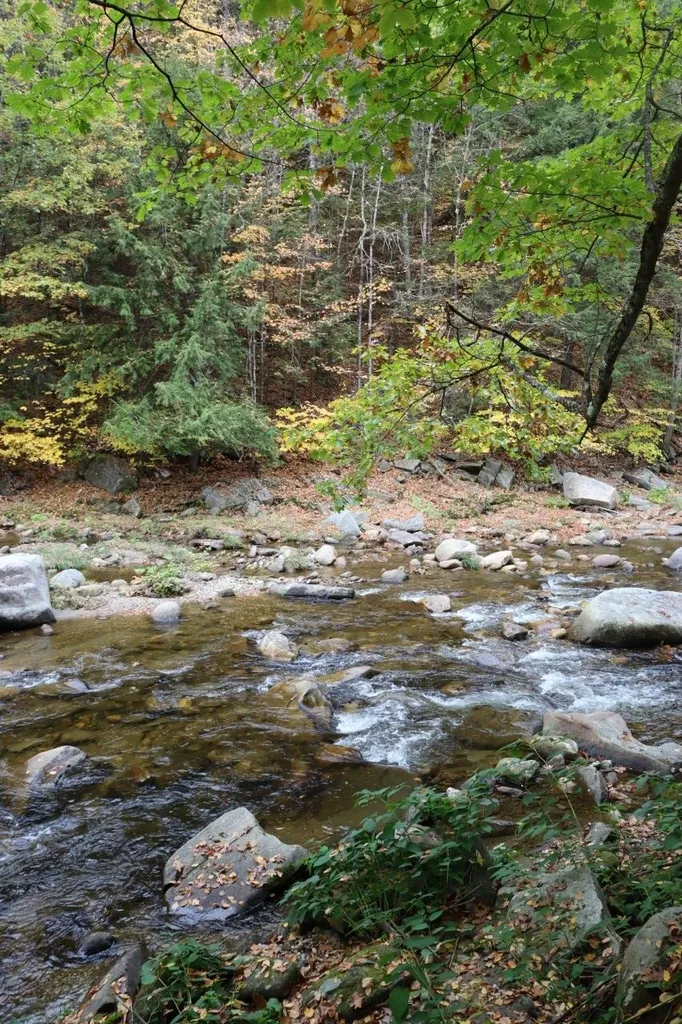 3399 Route 121 East Grafton VT 05146