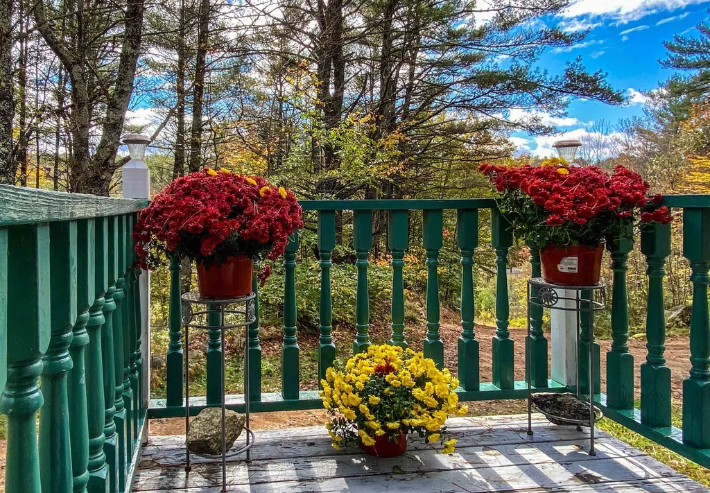 11 Neils Lane Grafton NH 03240