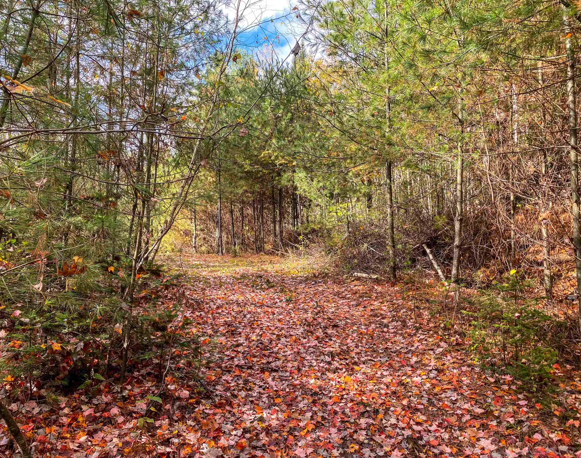 11 Neils Lane Grafton NH 03240