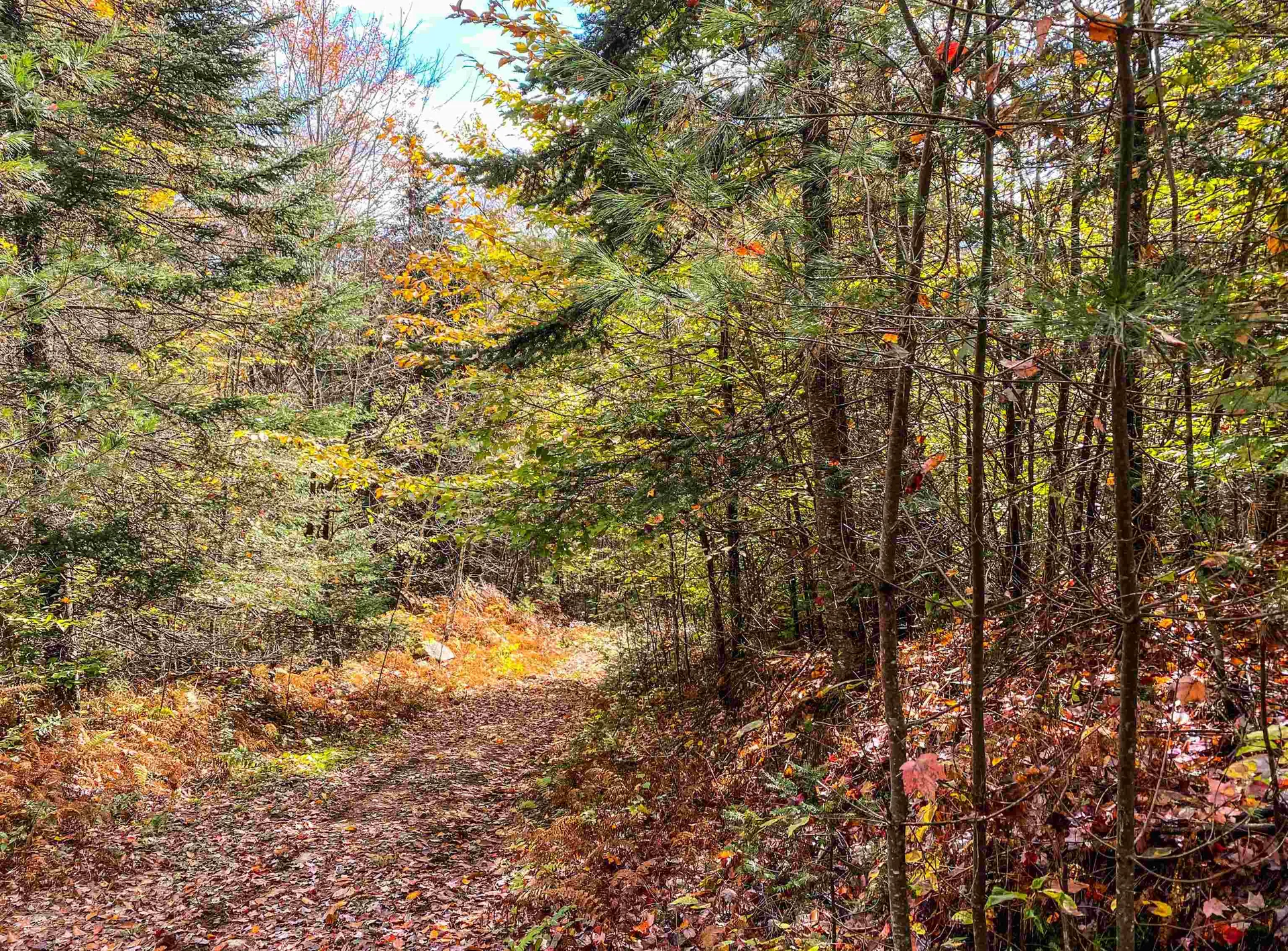 11 Neils Lane Grafton NH 03240