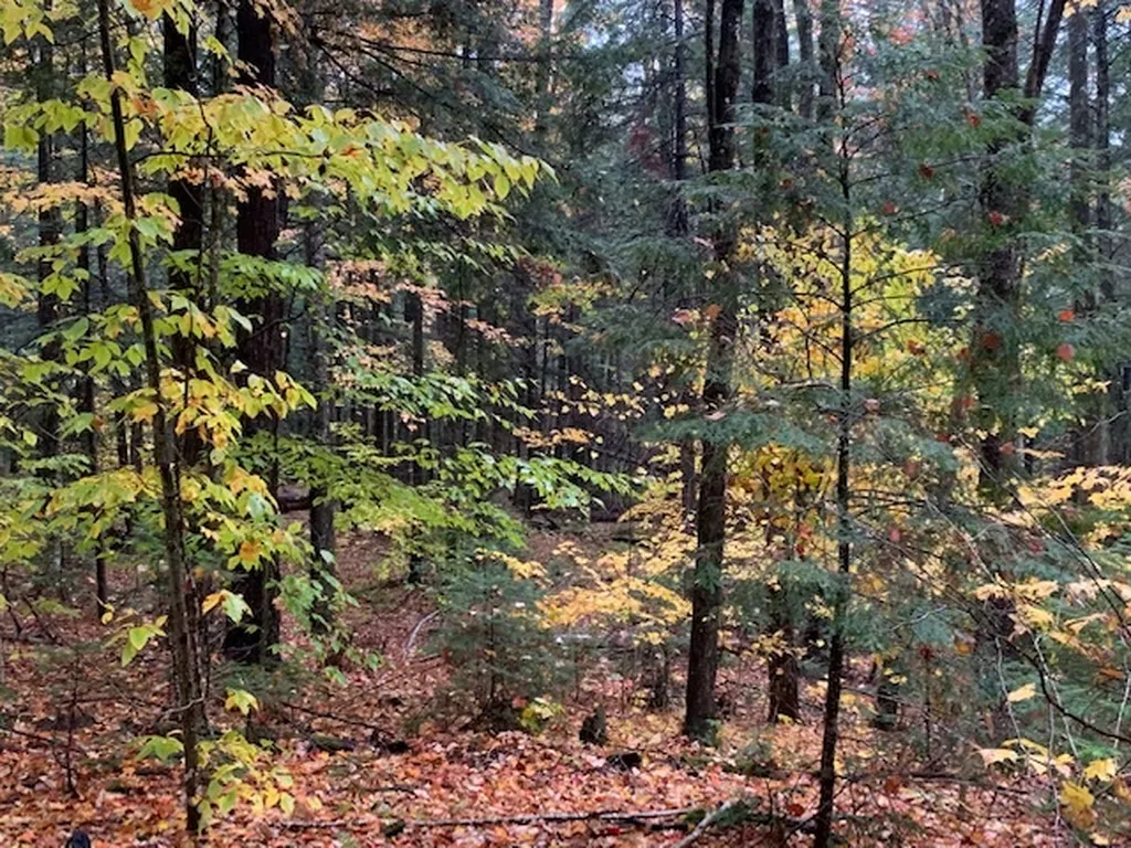 470 Middletown Road Andover VT 05143