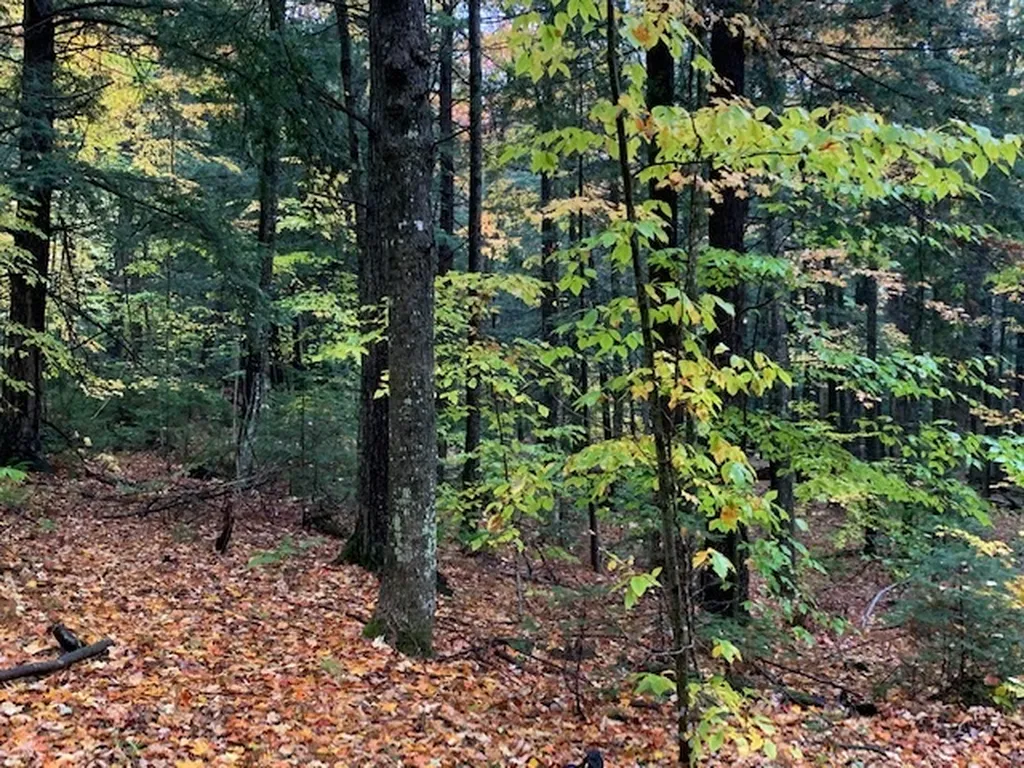 470 Middletown Road Andover VT 05143