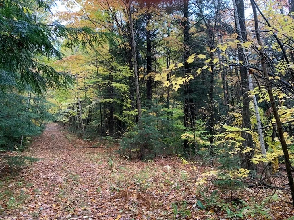 470 Middletown Road Andover VT 05143