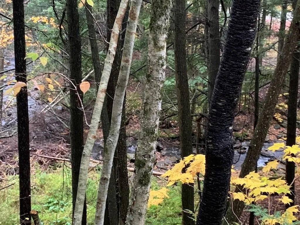 470 Middletown Road Andover VT 05143
