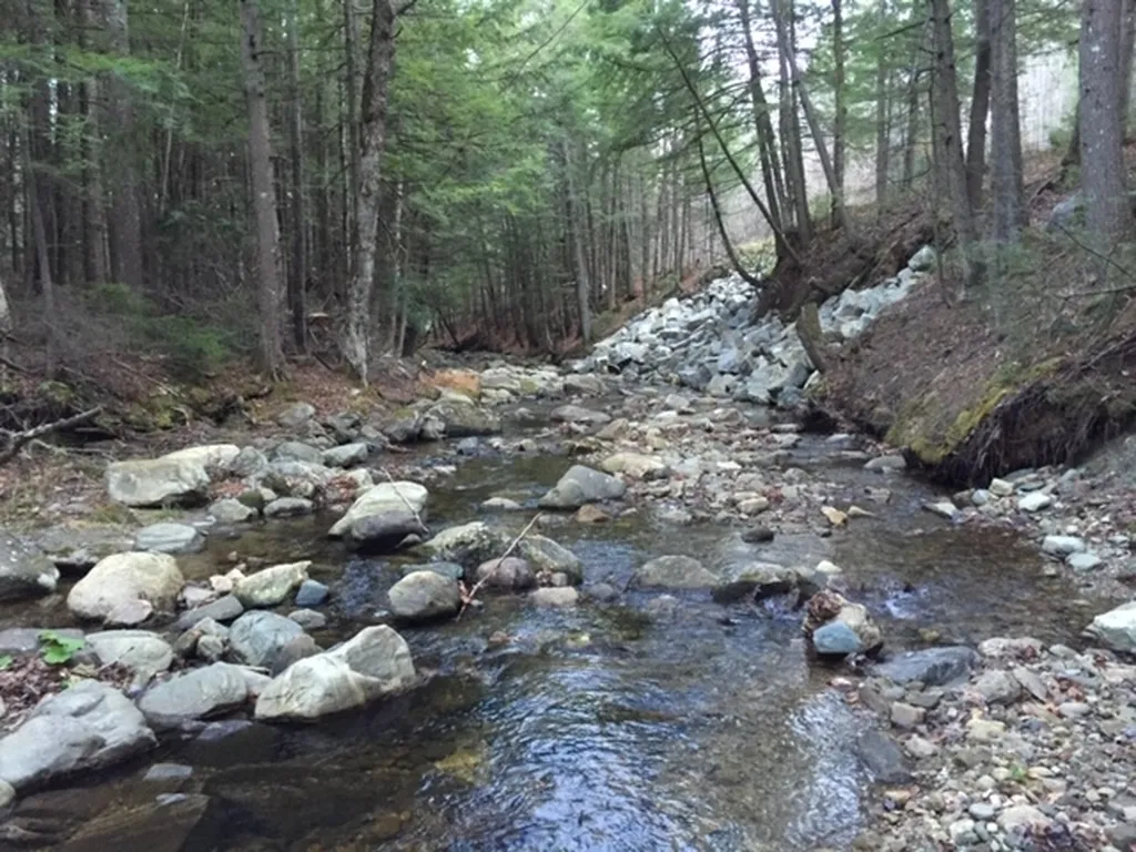 470 Middletown Road Andover VT 05143