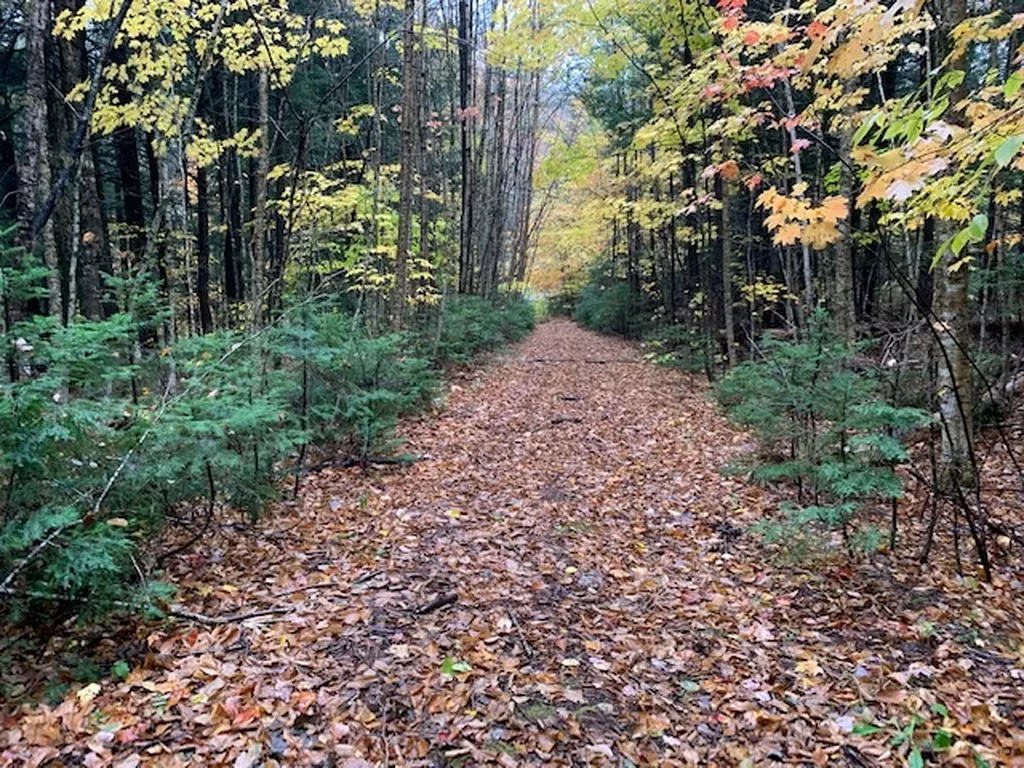470 Middletown Road Andover VT 05143