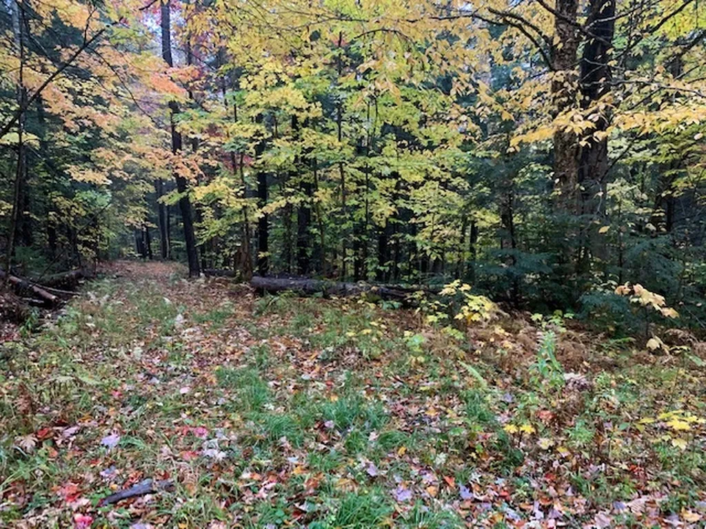 470 Middletown Road Andover VT 05143