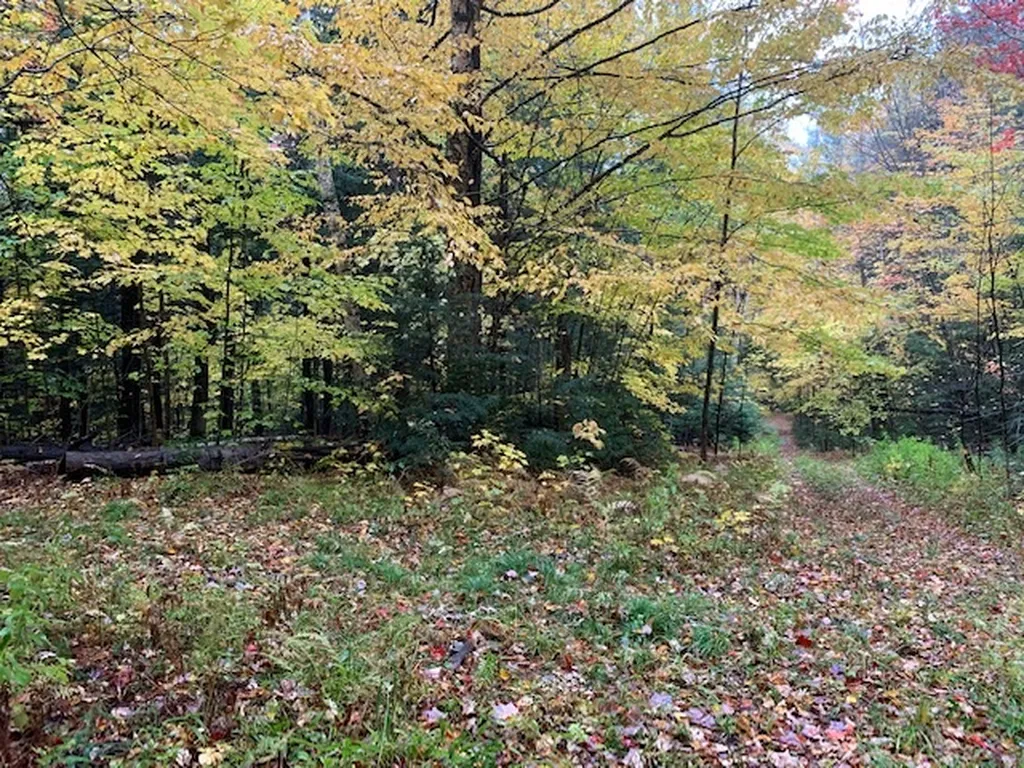 470 Middletown Road Andover VT 05143