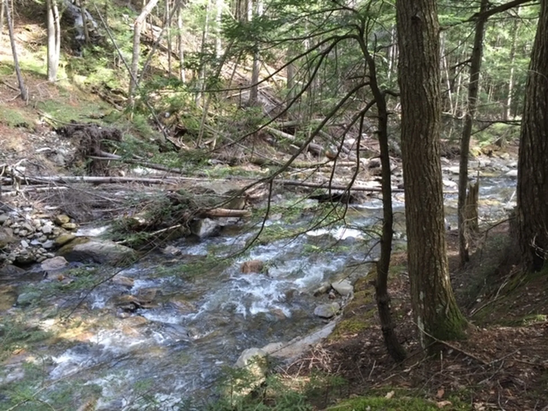 470 Middletown Road Andover VT 05143