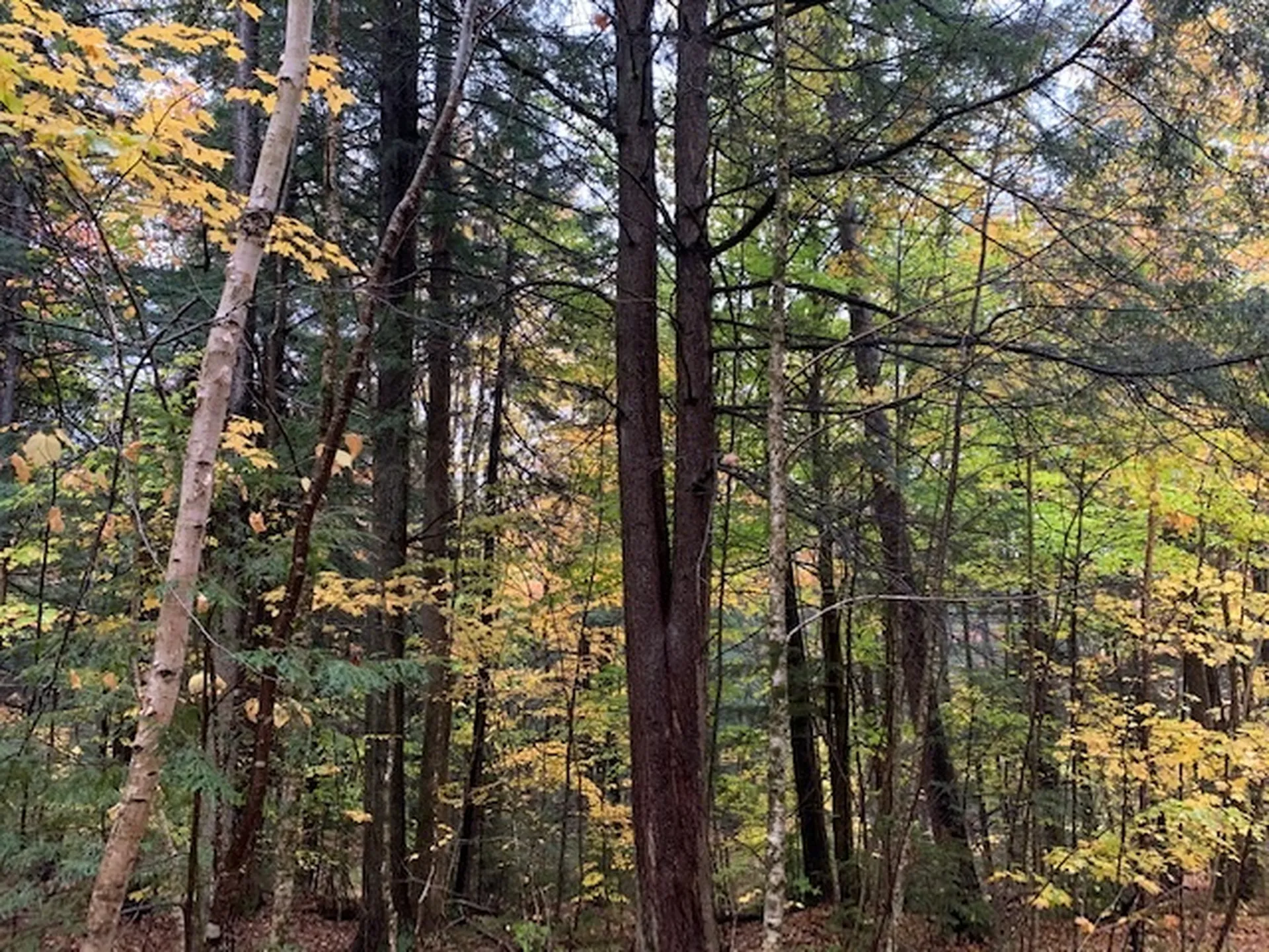 470 Middletown Road Andover VT 05143