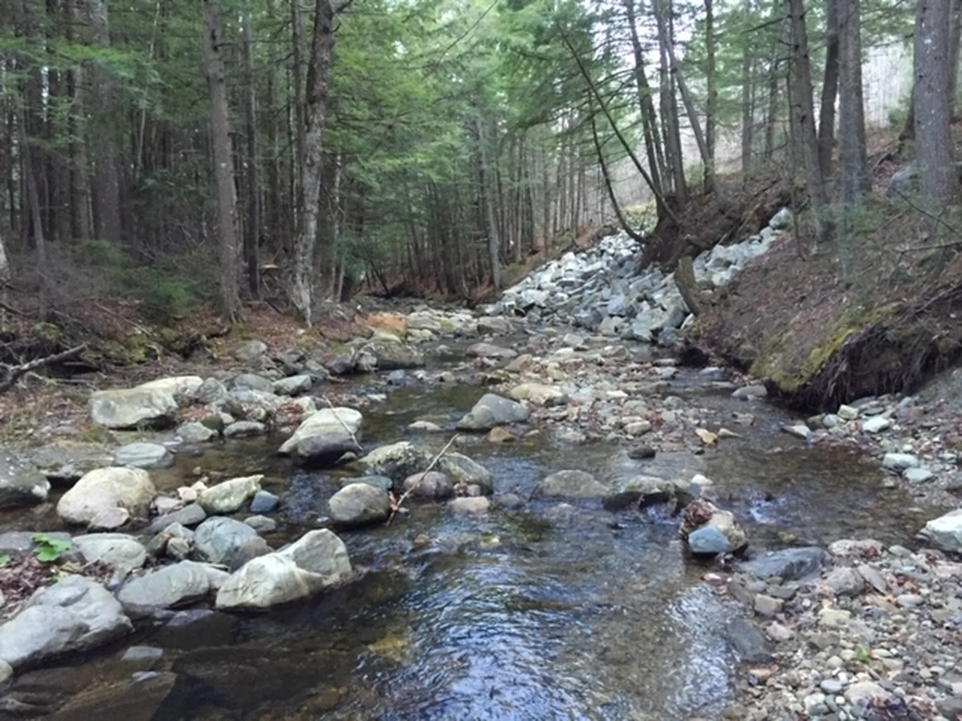 470 Middletown Road Andover VT 05143