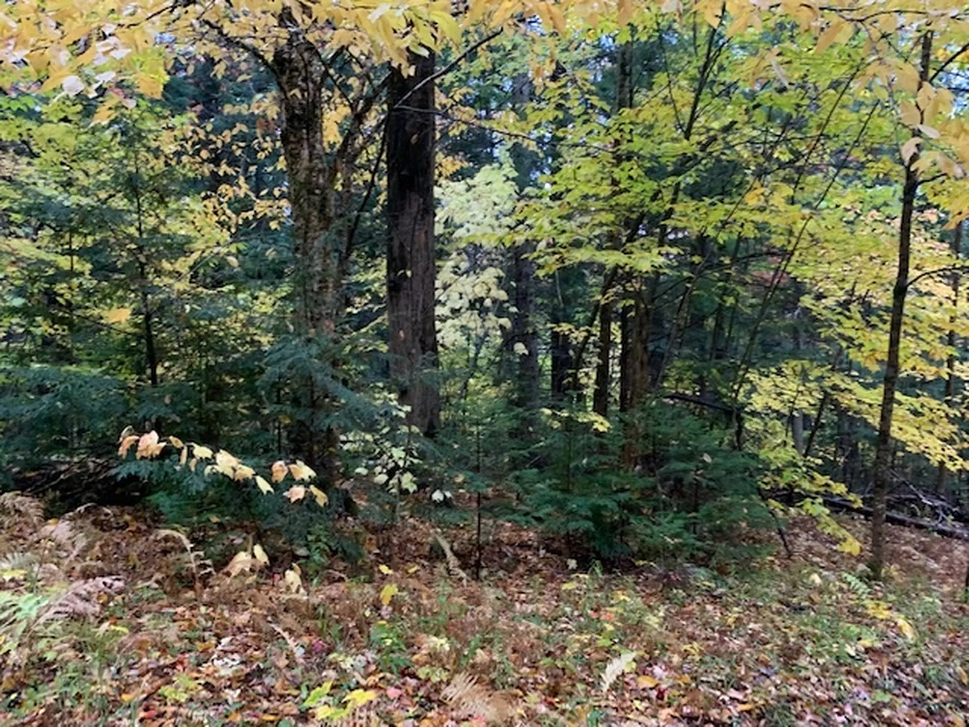 470 Middletown Road Andover VT 05143
