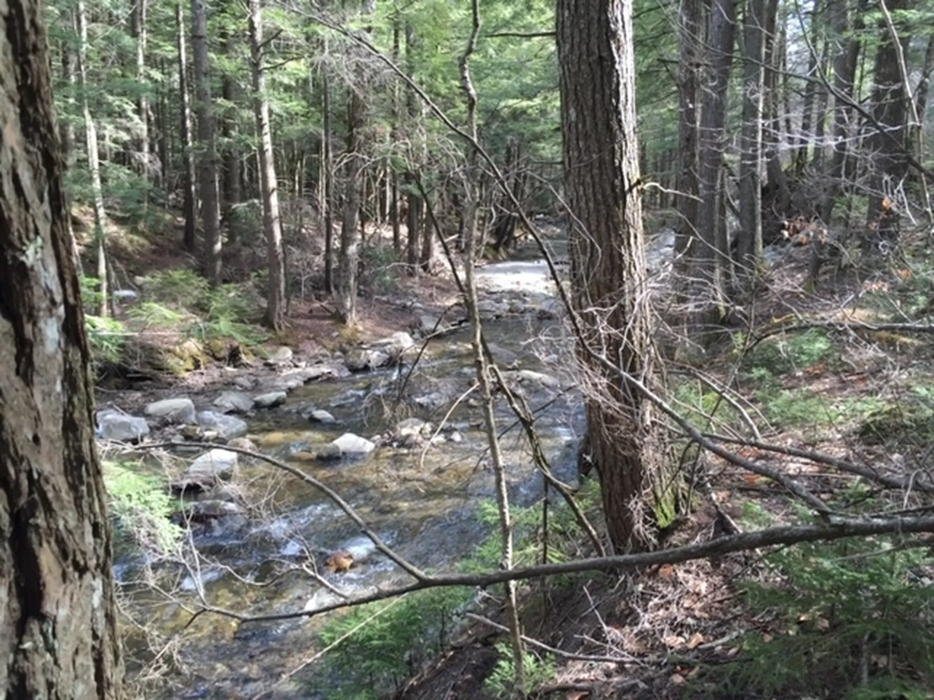 470 Middletown Road Andover VT 05143