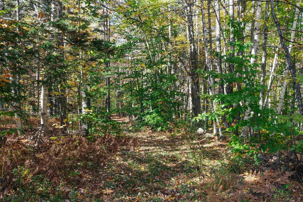 00 Curtis Hollow Road Woodstock VT 05091