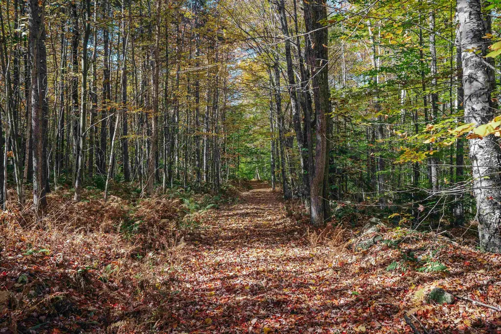 00 Curtis Hollow Road Woodstock VT 05091