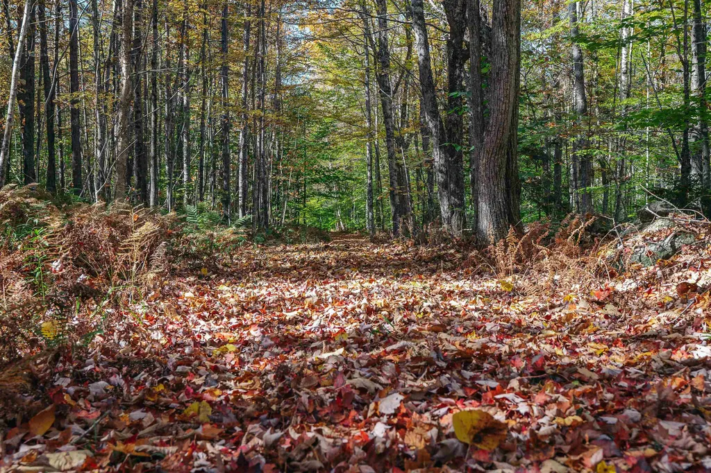00 Curtis Hollow Road Woodstock VT 05091