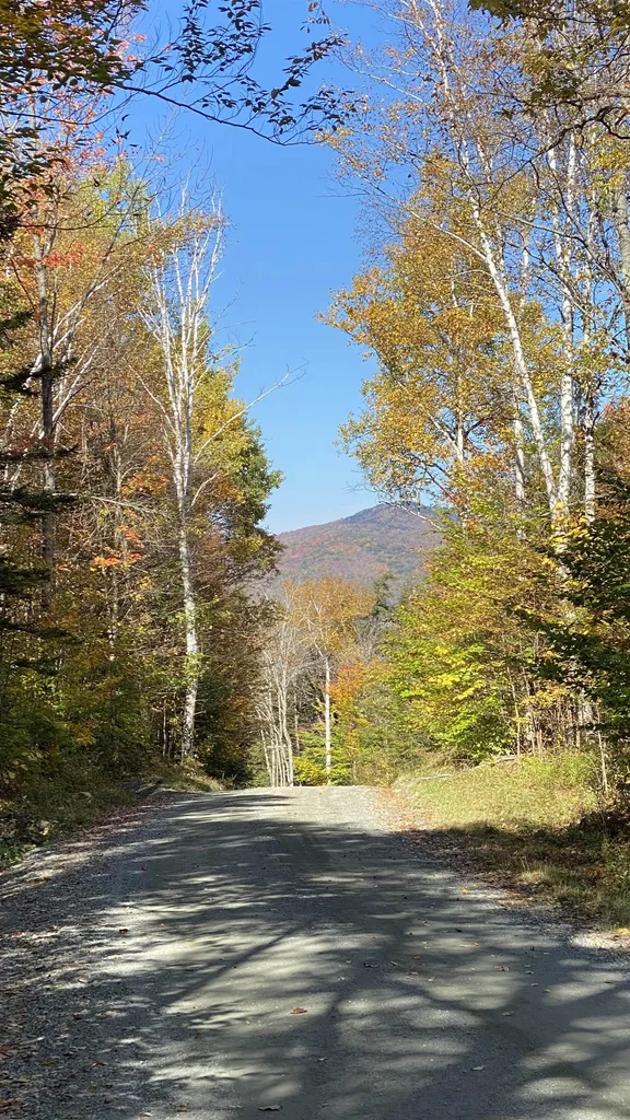00 Curtis Hollow Road Woodstock VT 05091