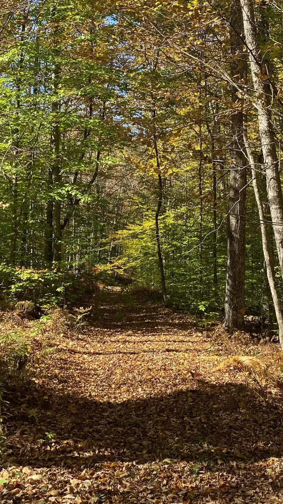 00 Curtis Hollow Road Woodstock VT 05091