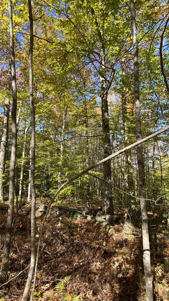 00 Curtis Hollow Road Woodstock VT 05091