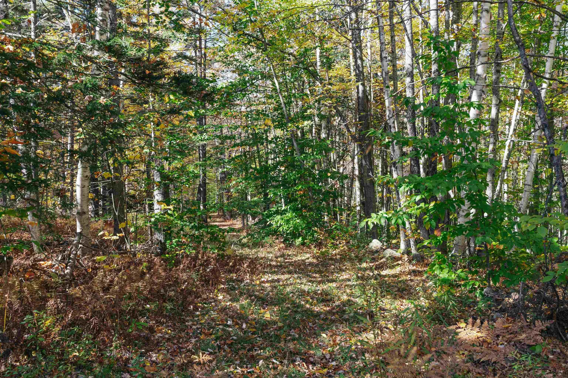 00 Curtis Hollow Road Woodstock VT 05091