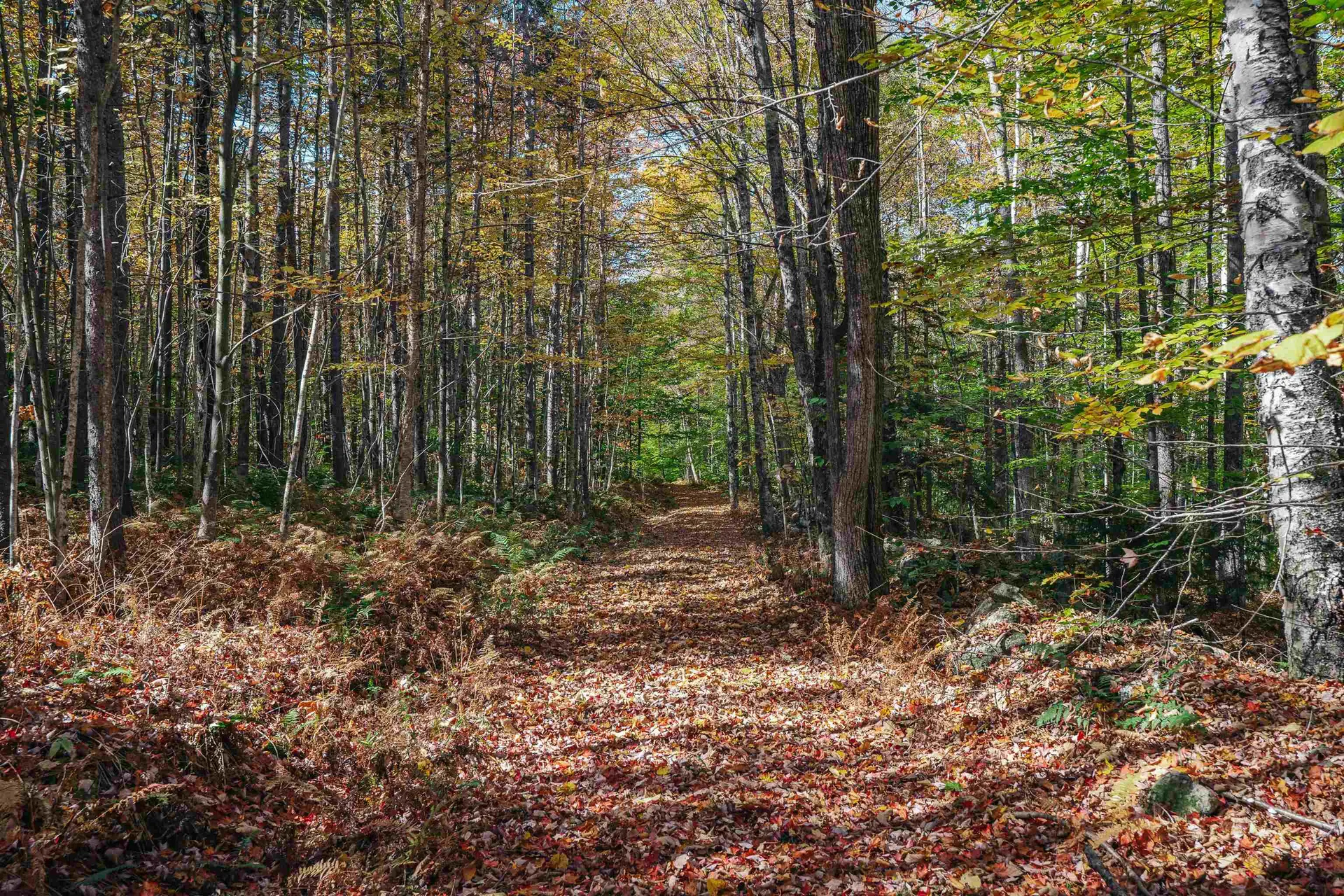 00 Curtis Hollow Road Woodstock VT 05091