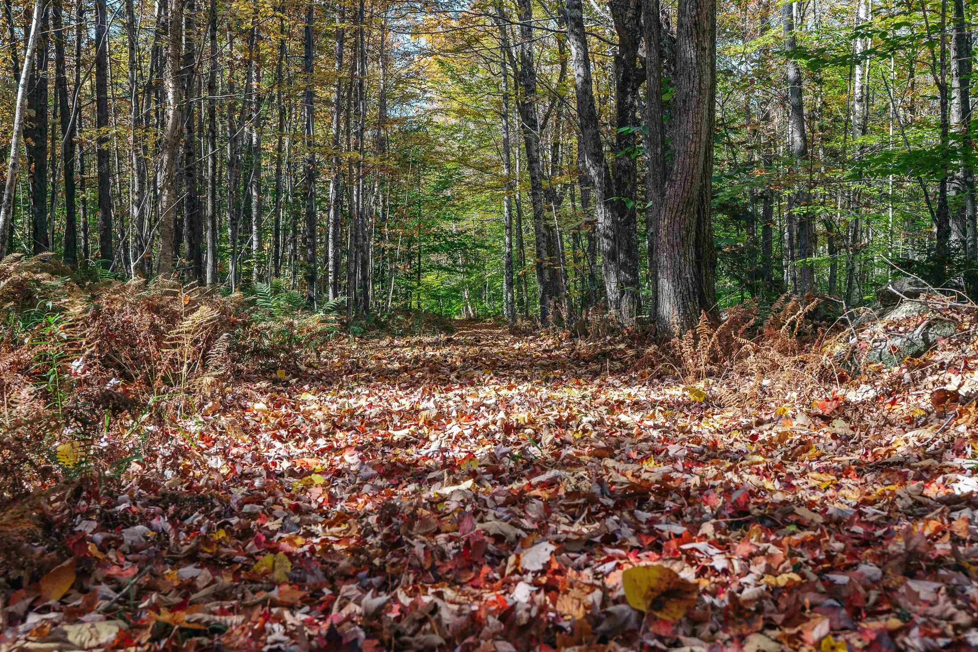 00 Curtis Hollow Road Woodstock VT 05091
