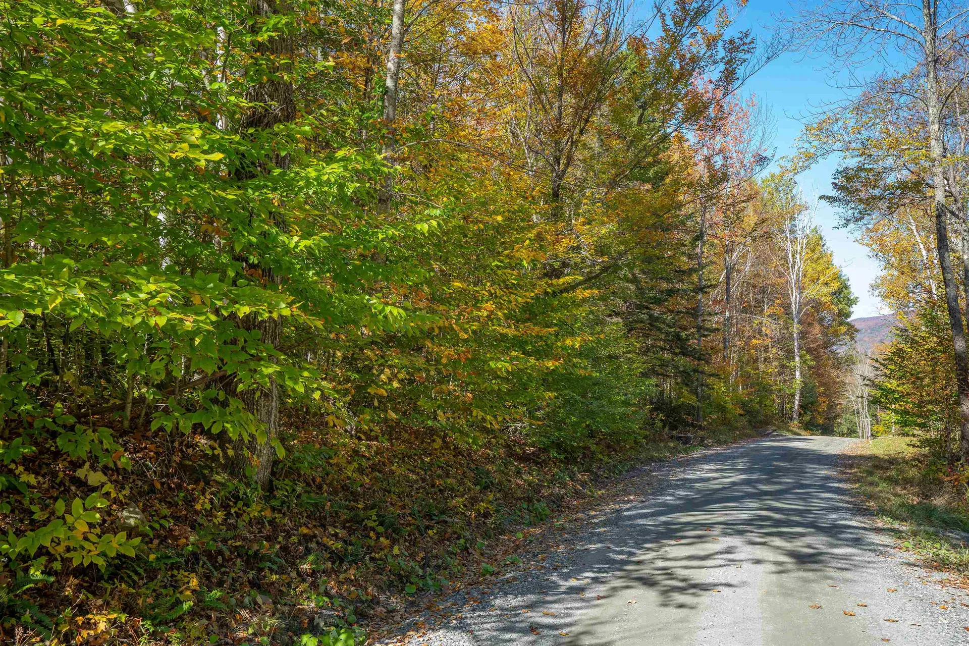 00 Curtis Hollow Road Woodstock VT 05091