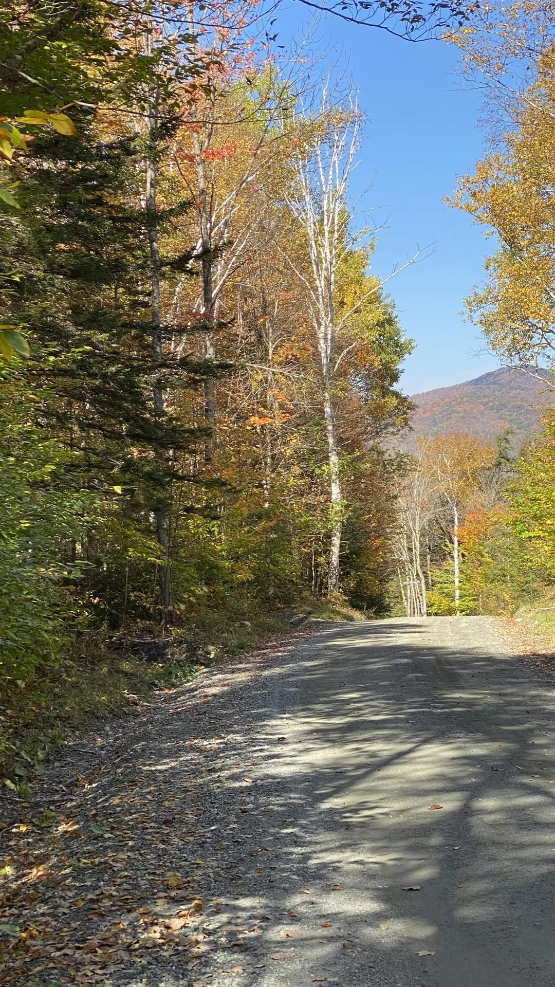 00 Curtis Hollow Road Woodstock VT 05091