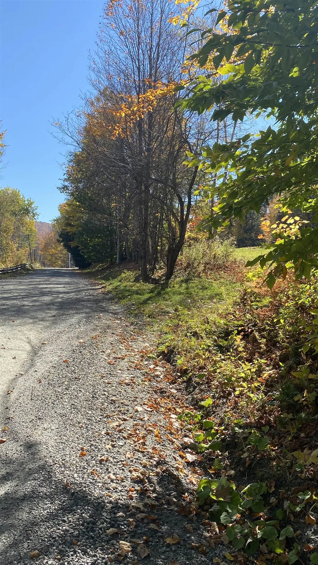 00 Curtis Hollow Road Woodstock VT 05091