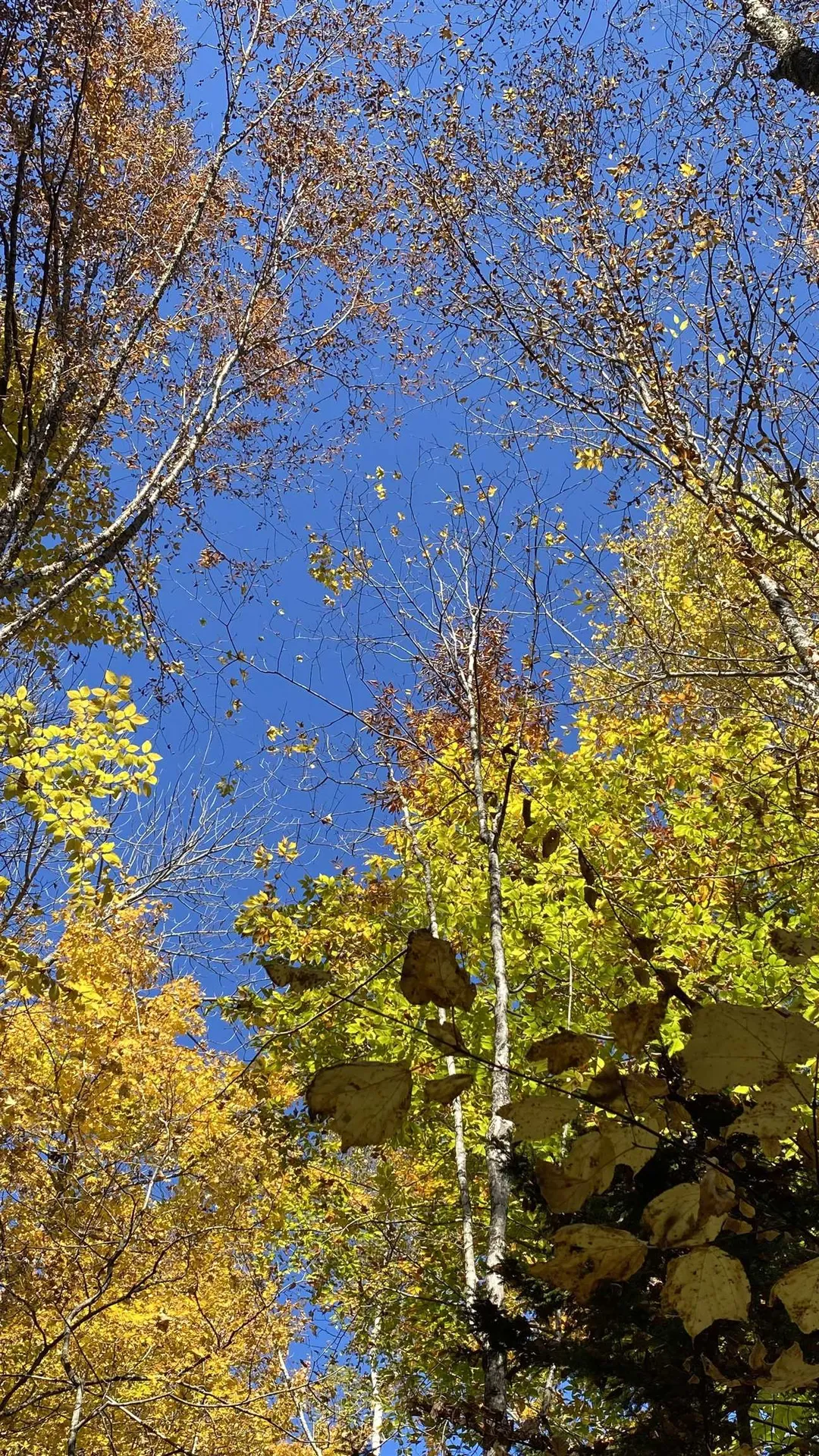 00 Curtis Hollow Road Woodstock VT 05091