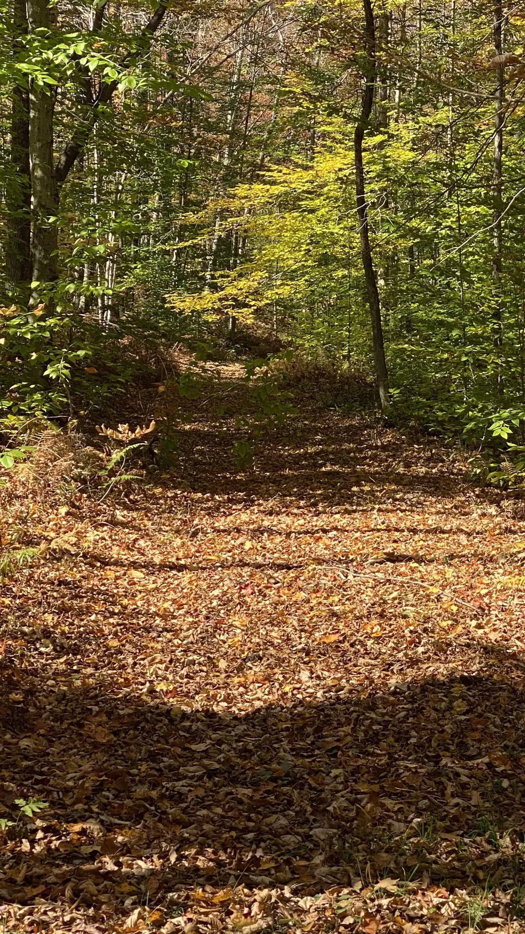 00 Curtis Hollow Road Woodstock VT 05091