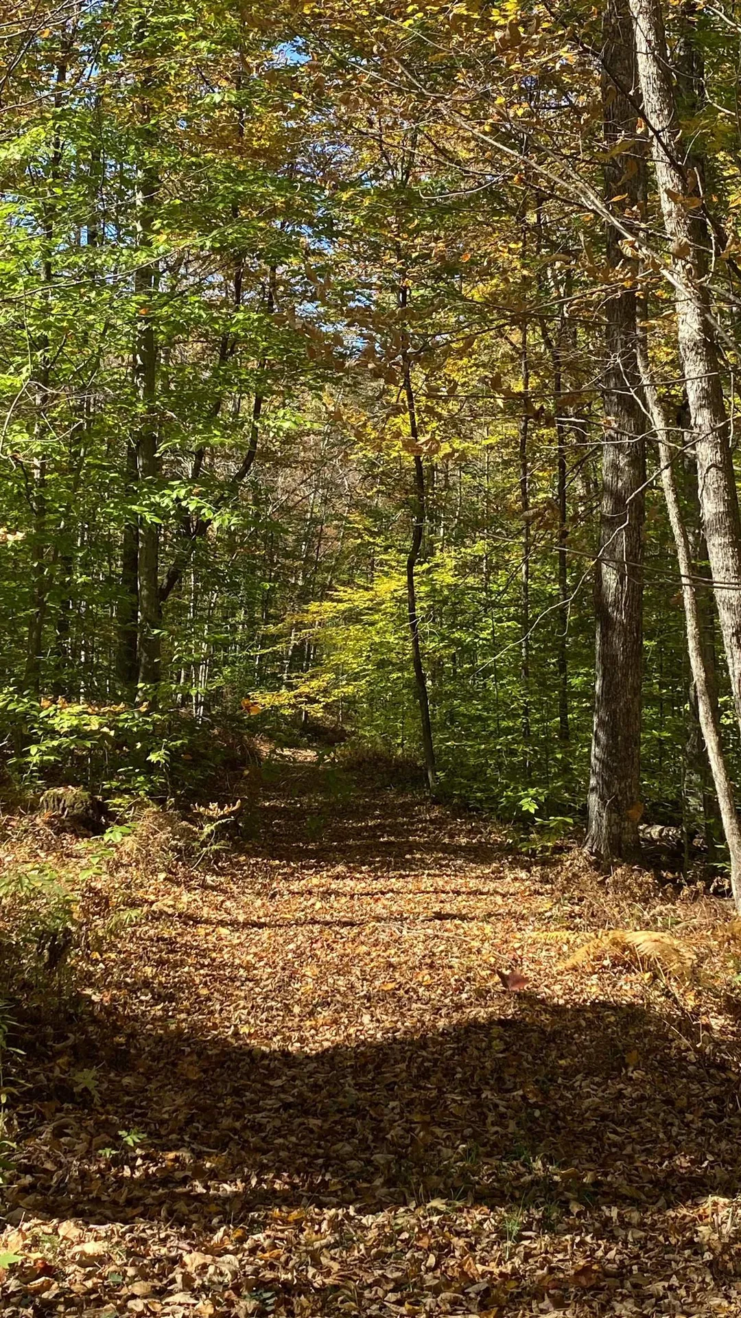 00 Curtis Hollow Road Woodstock VT 05091