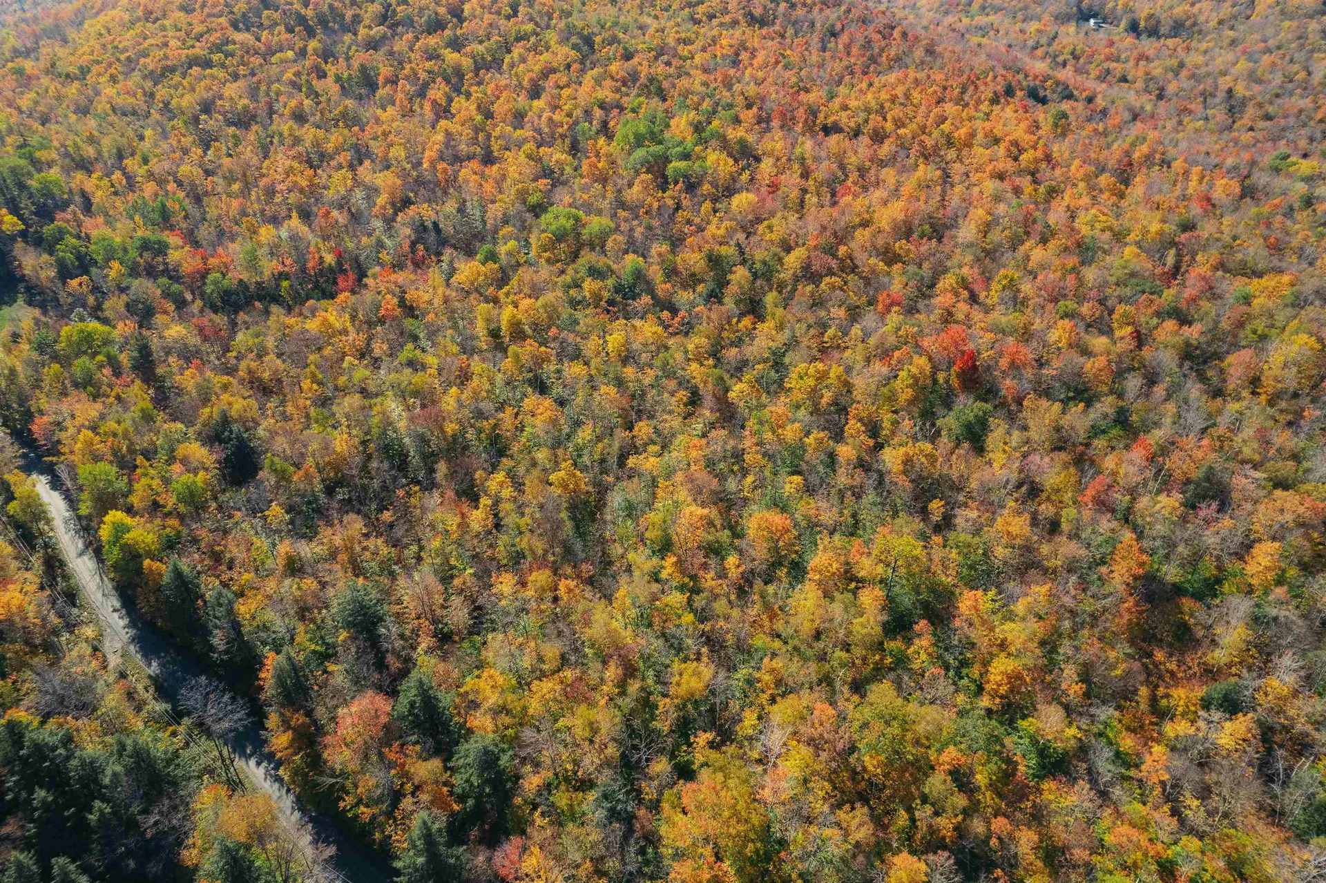 00 Curtis Hollow Road Woodstock VT 05091