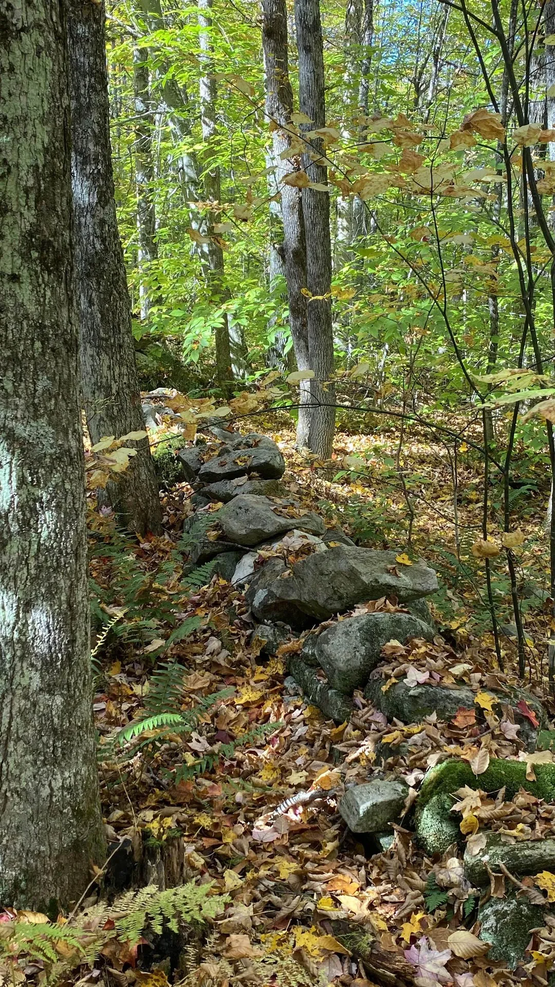 00 Curtis Hollow Road Woodstock VT 05091