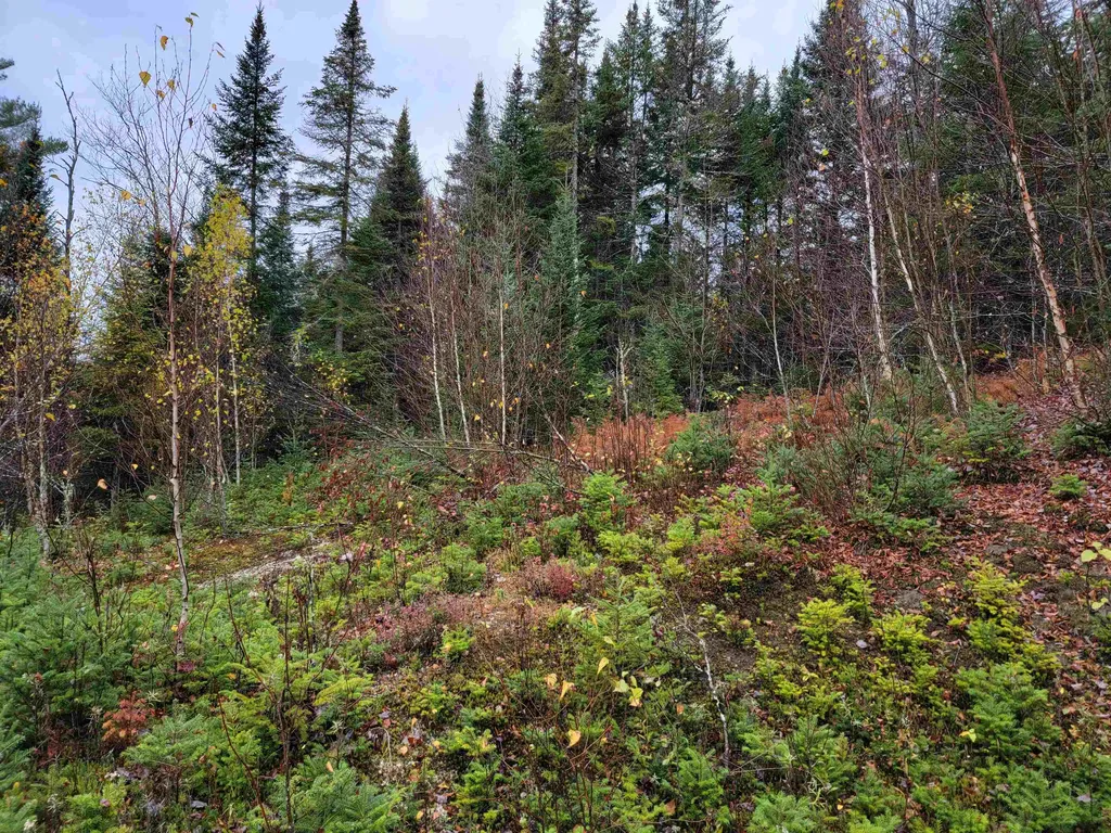 60 Owens Road Stewartstown NH 03576