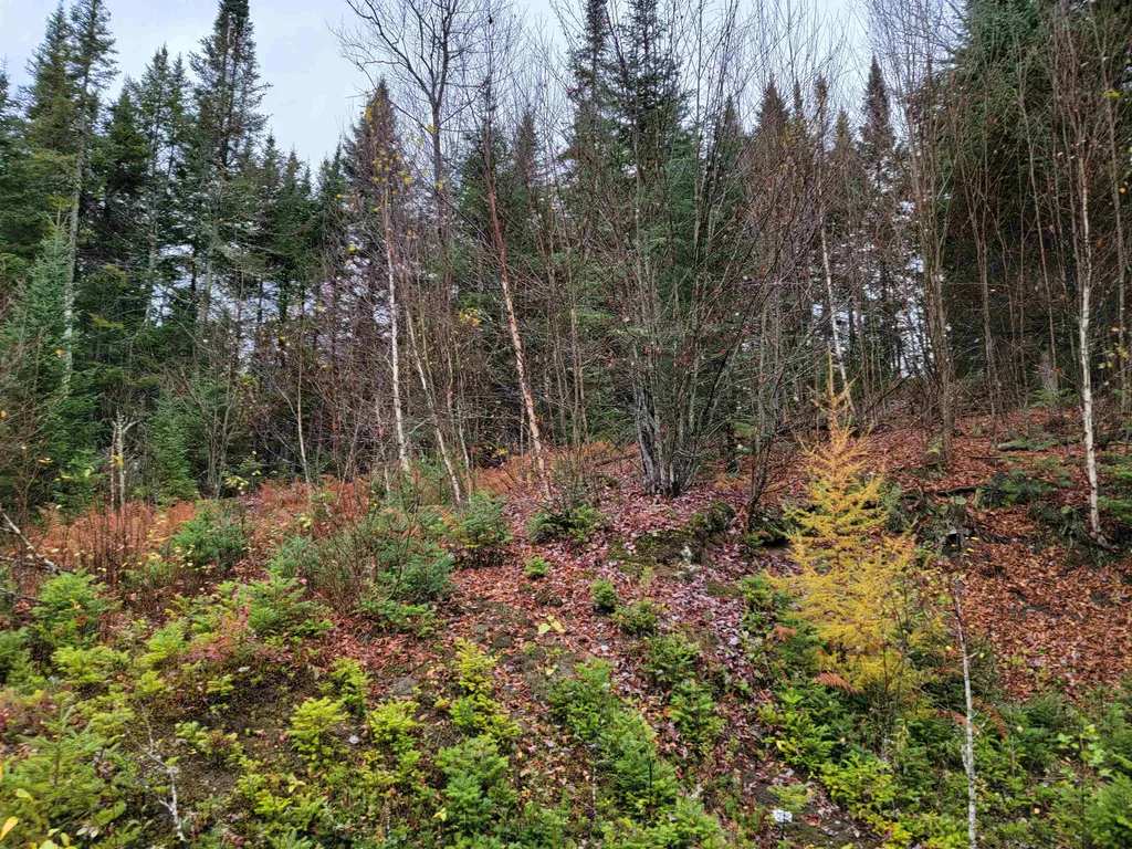 60 Owens Road Stewartstown NH 03576