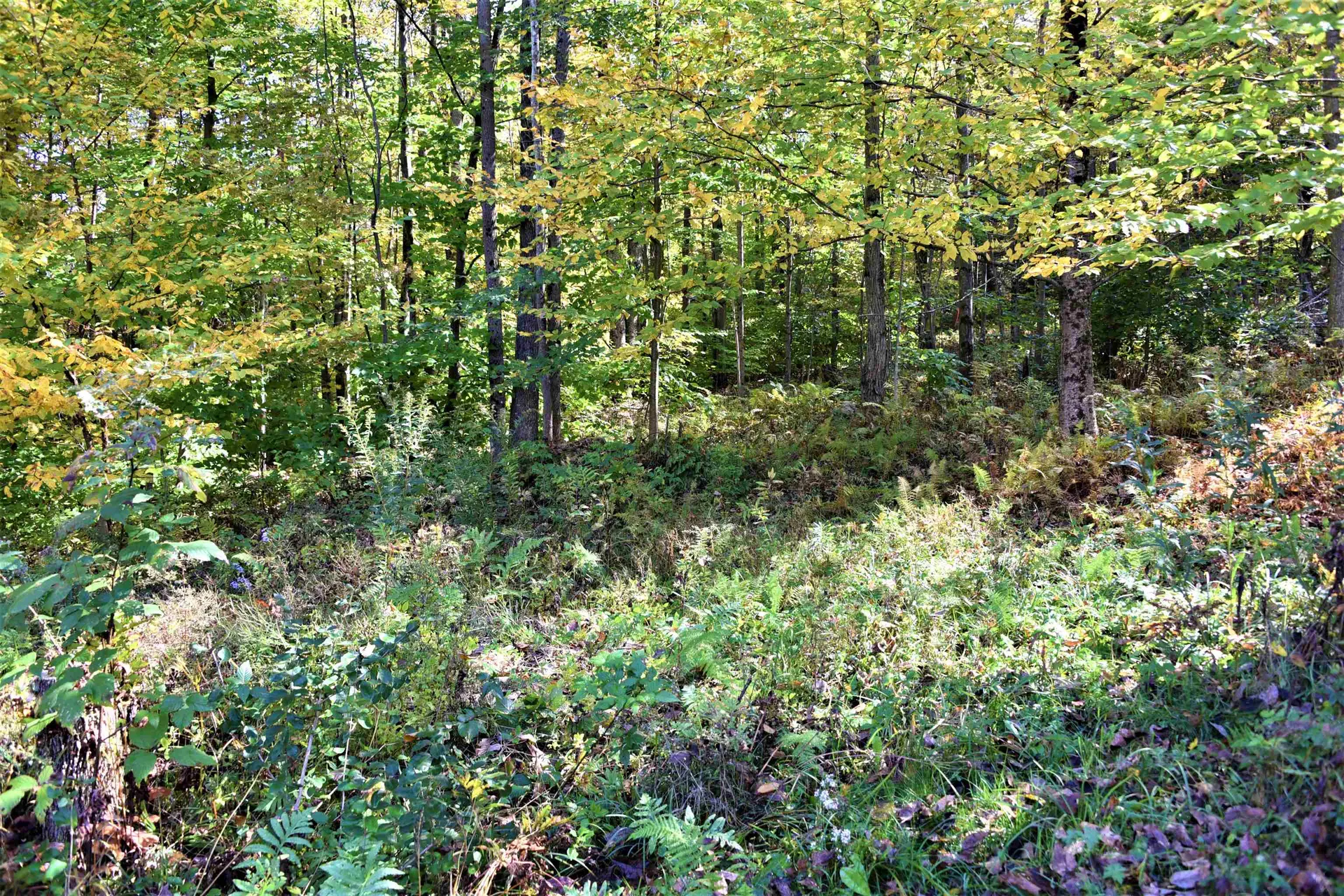 205 Texas Hill Circle Huntington VT 05462