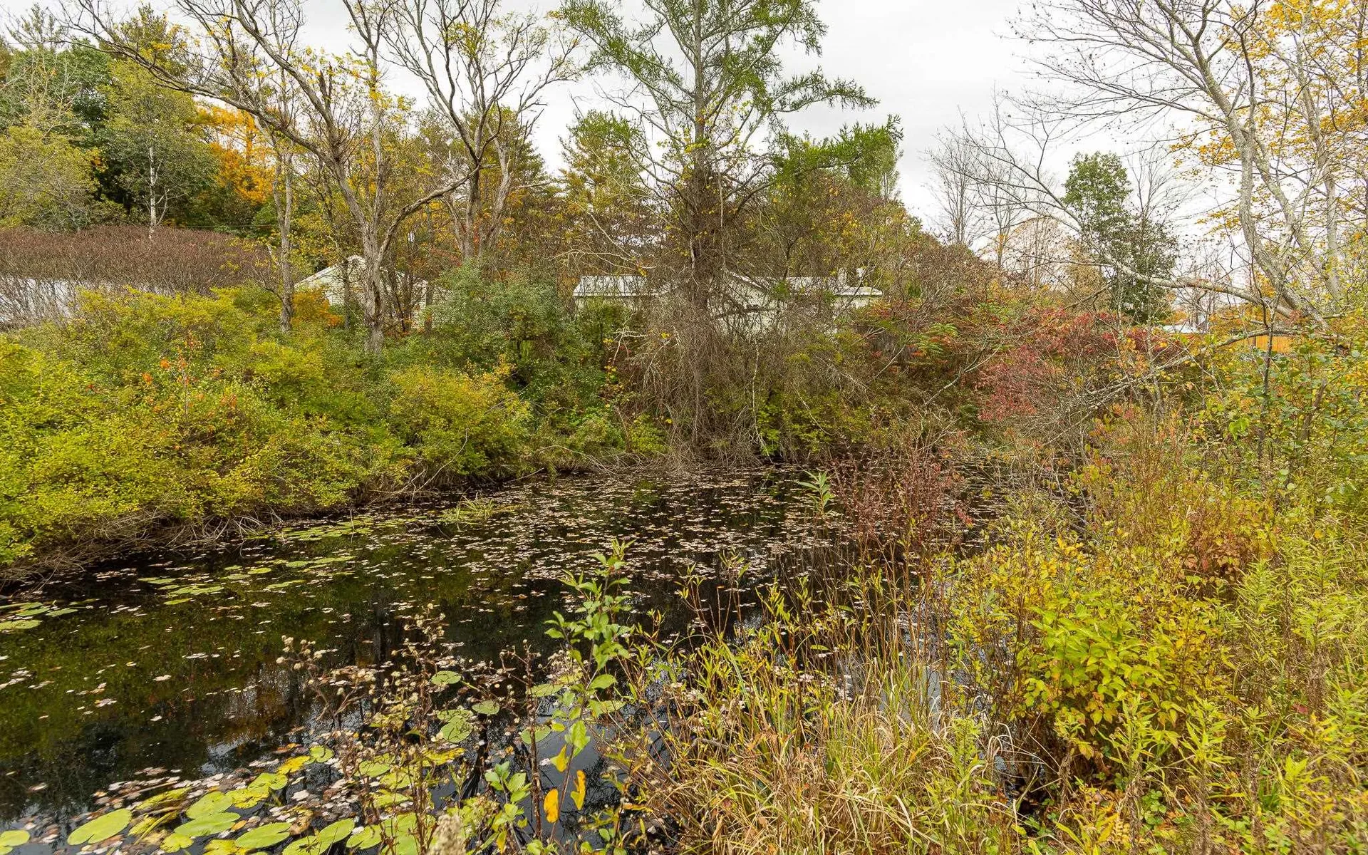 13 Russell Road Langdon NH 03602
