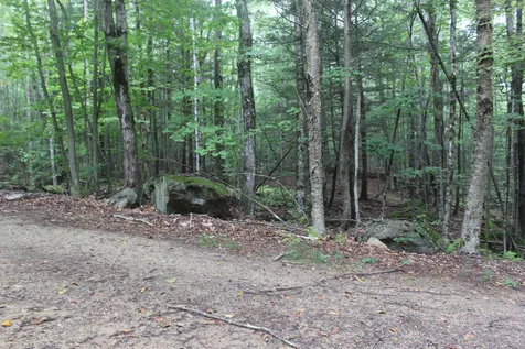 120 Canaan Road Strafford NH 03884