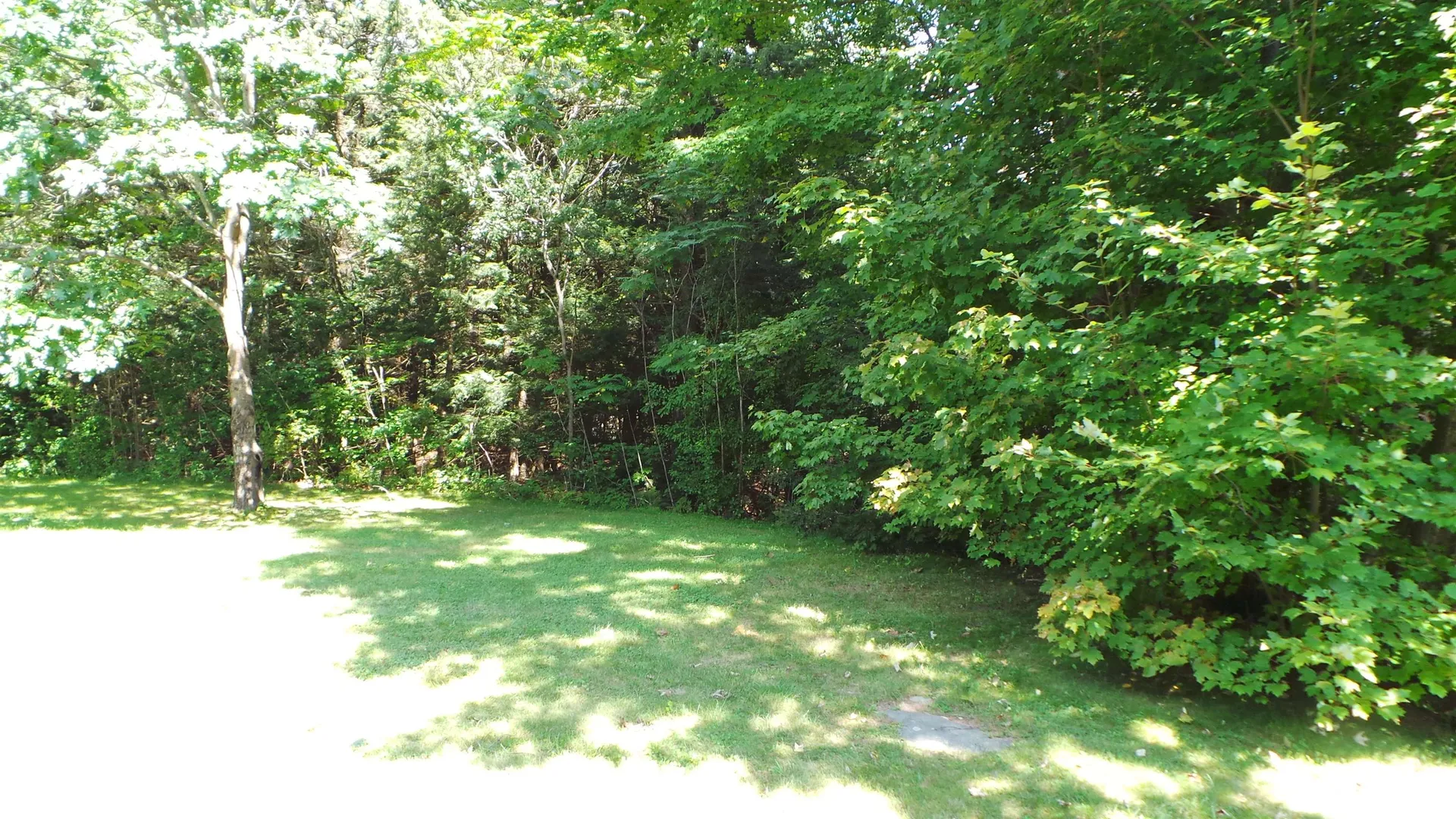 205 Woodhaven Drive Hartford VT 05001
