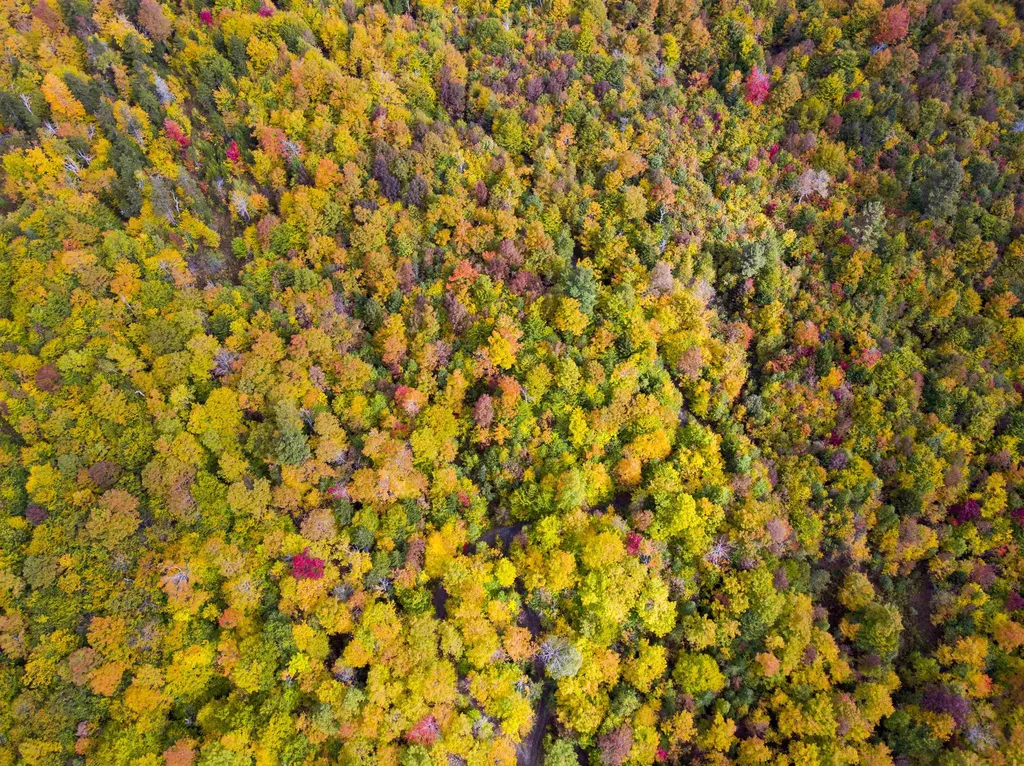 00 River Road Killington VT 05751
