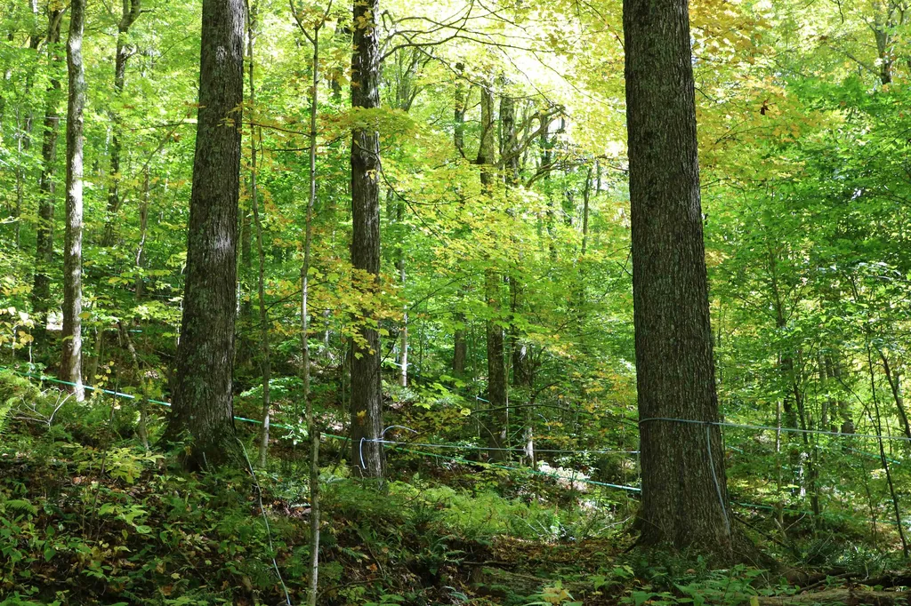 00 River Road Killington VT 05751