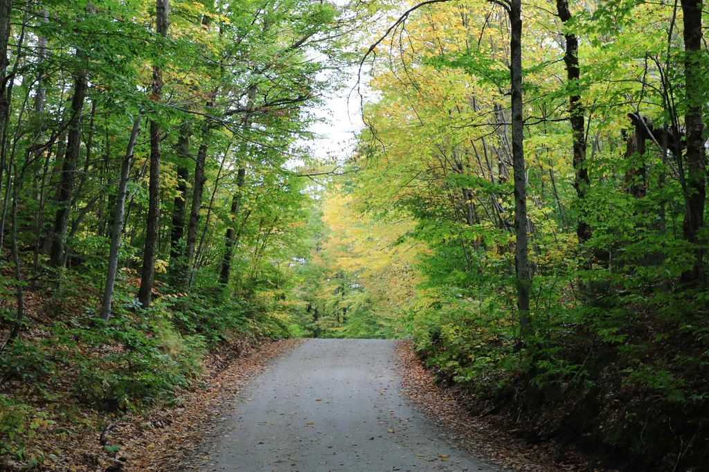 00 River Road Killington VT 05751