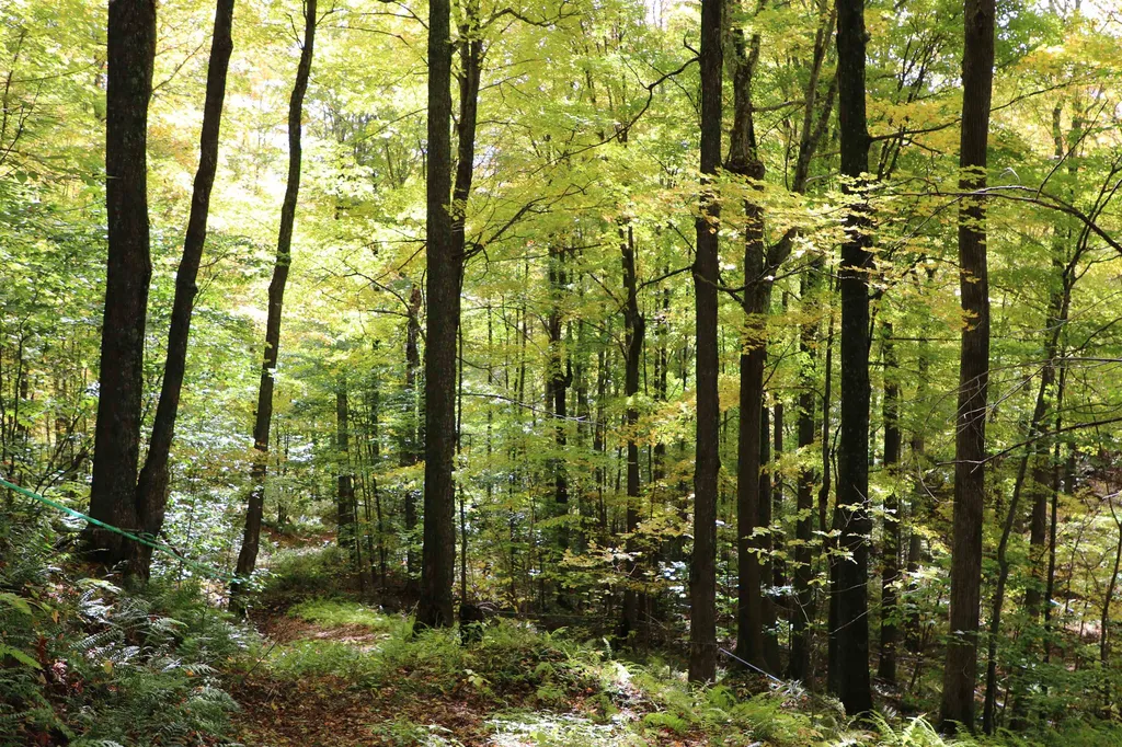 00 River Road Killington VT 05751